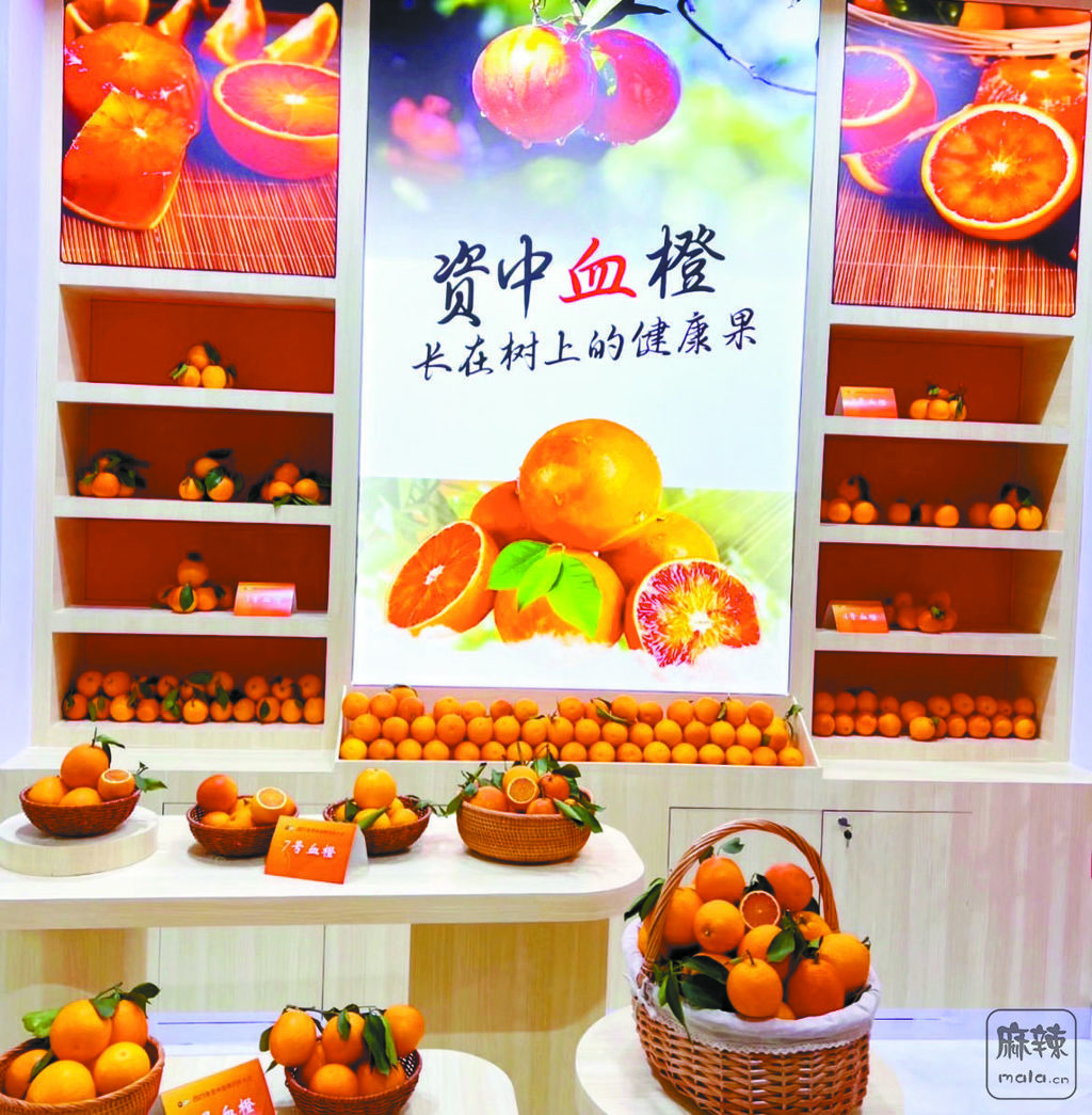 1835908e-fa50-4689-bf87-f192e4f55a7c.tif.2