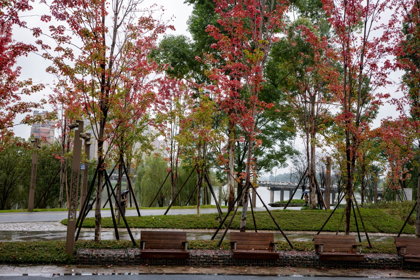 DSC00369 ����.jpg