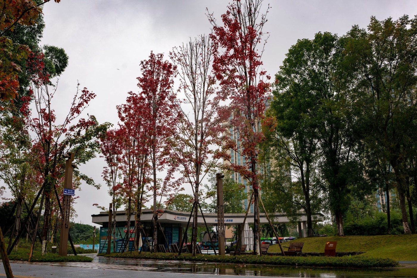 DSC00347 ����.jpg