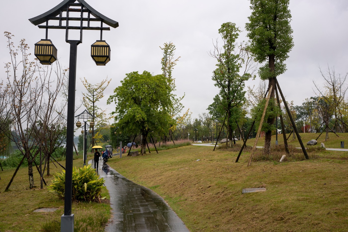 DSC00382 ����.jpg