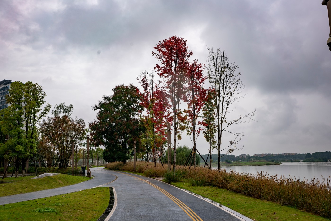 DSC00348 ����.jpg