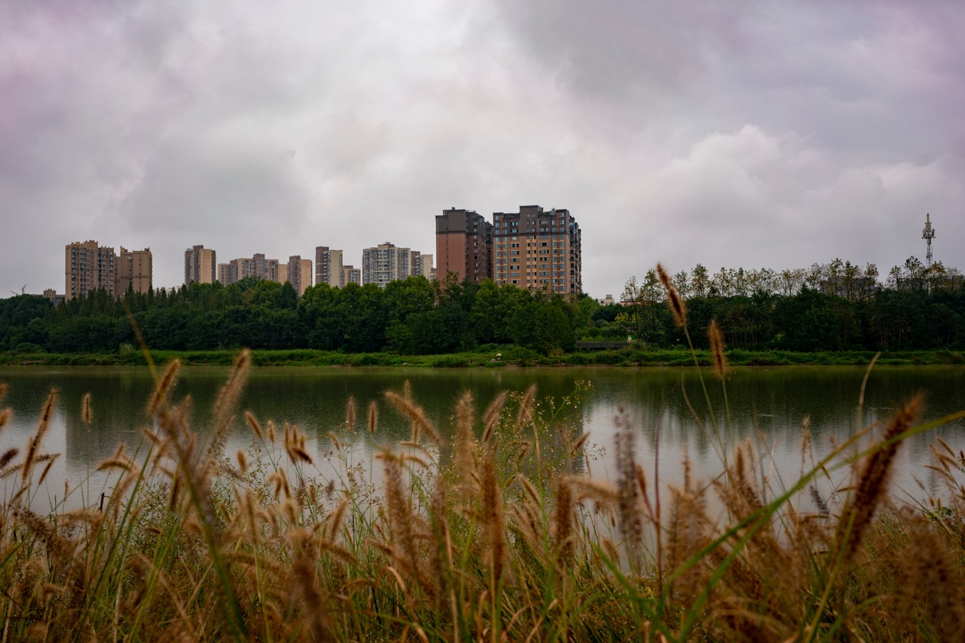 DSC00354 ����.jpg