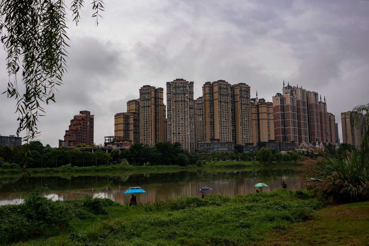 DSC00379 ����.jpg