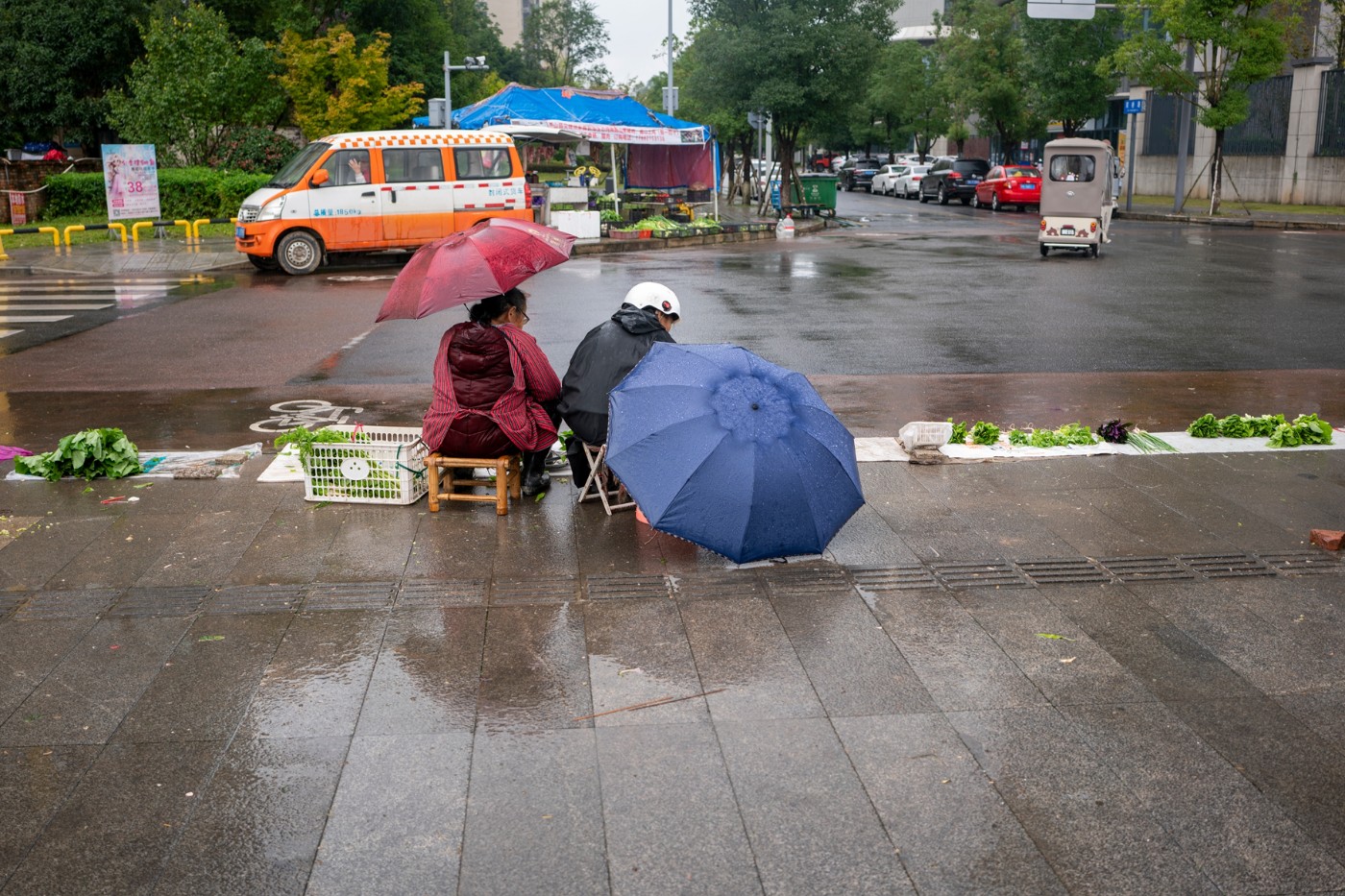 DSC00366 ����.jpg