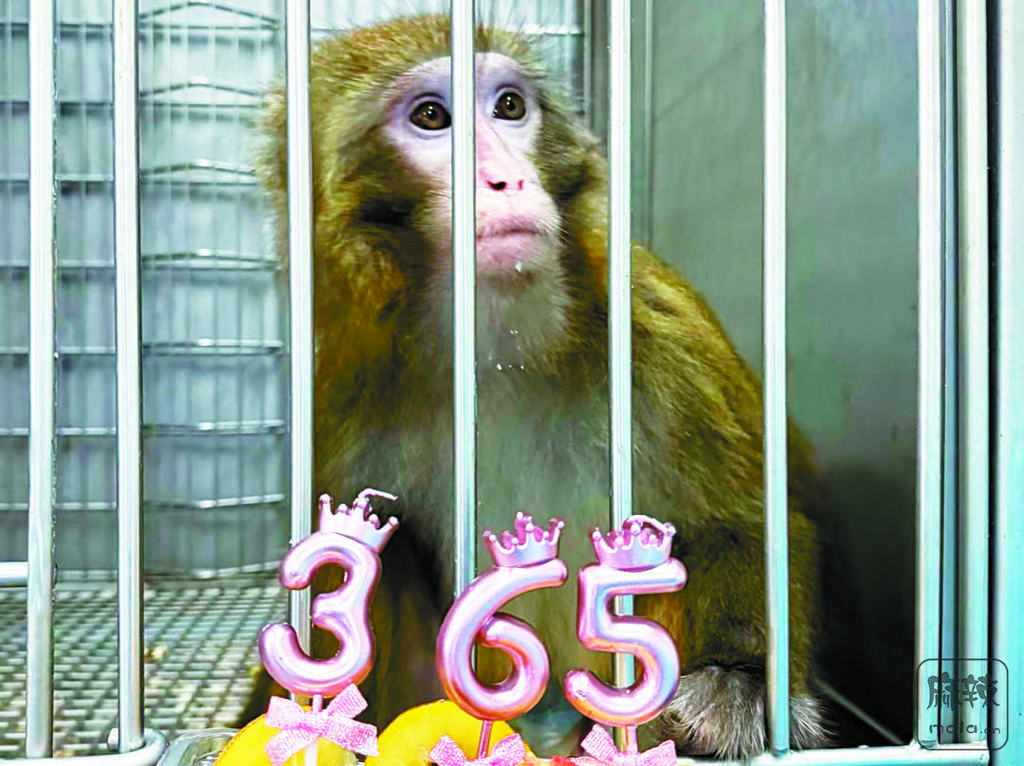 968f9f34-b215-4603-8074-d9516810d902.tif.2