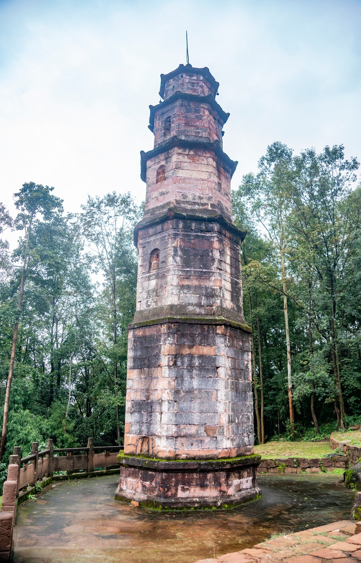 DSC01278 ����.jpg