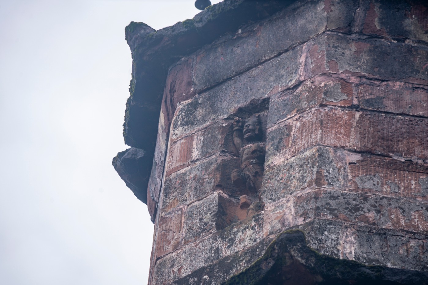 DSC01281 ����.jpg