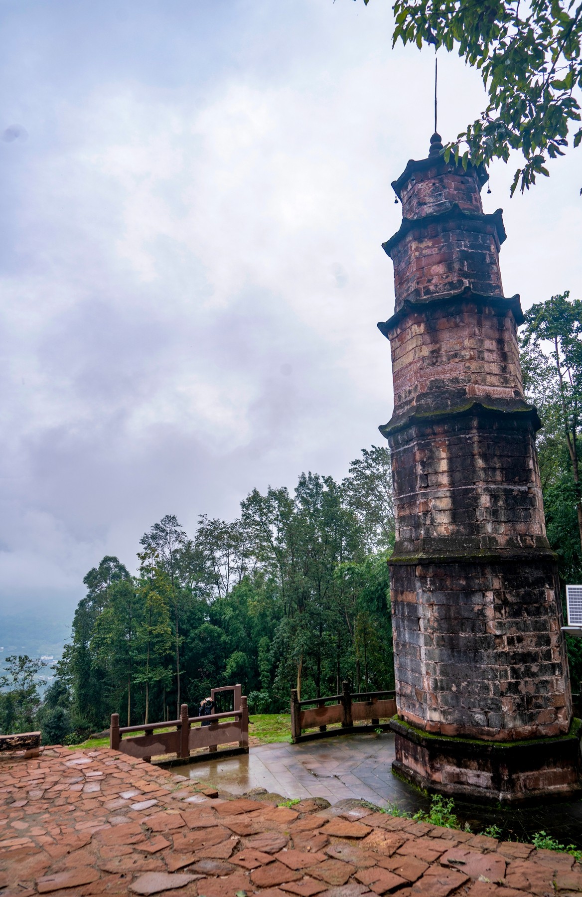 DSC01286-2 ���� 2.jpg