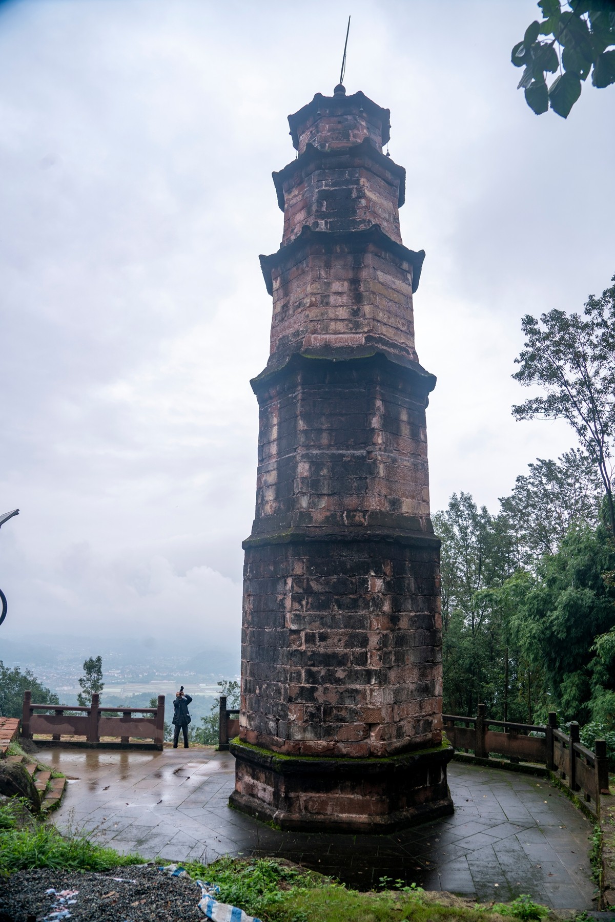 DSC01294 ����.jpg