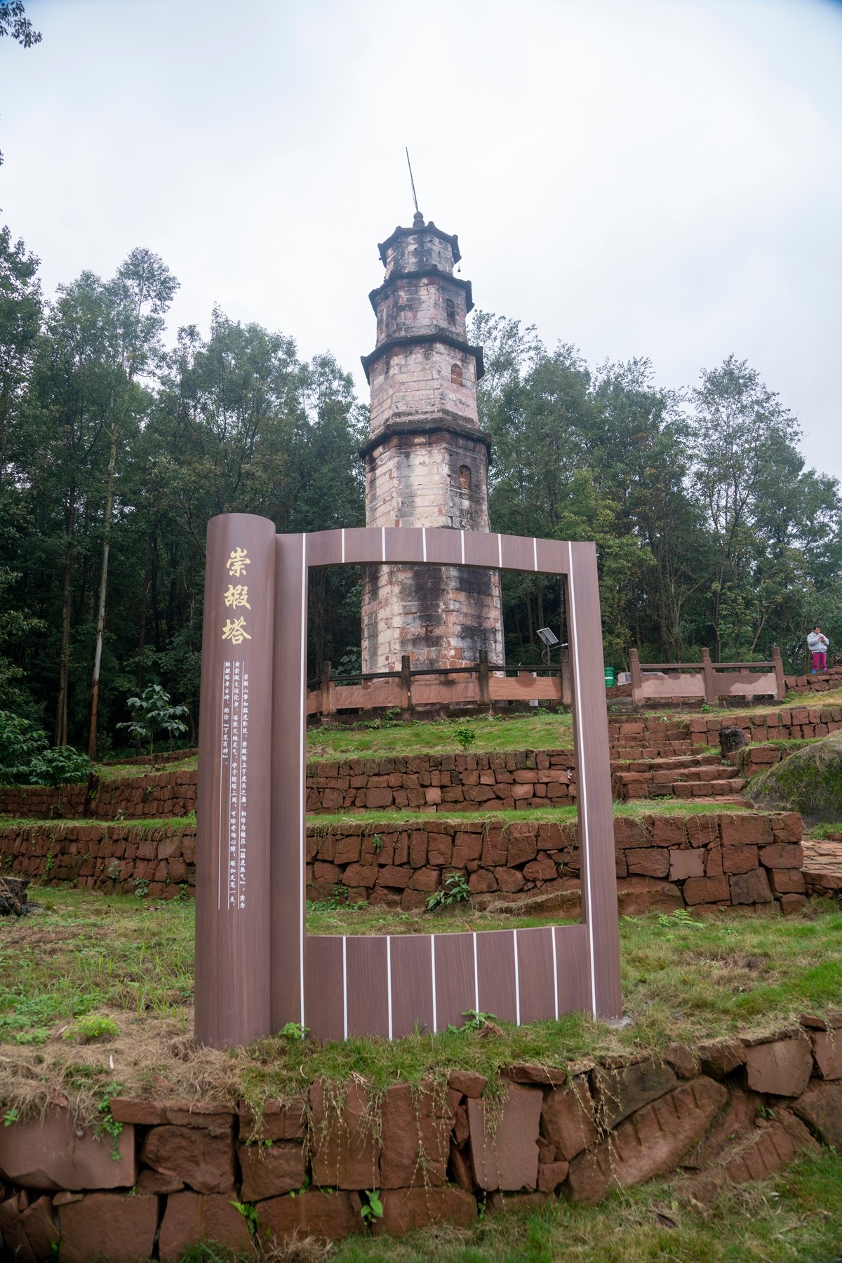 DSC01301 ����.jpg