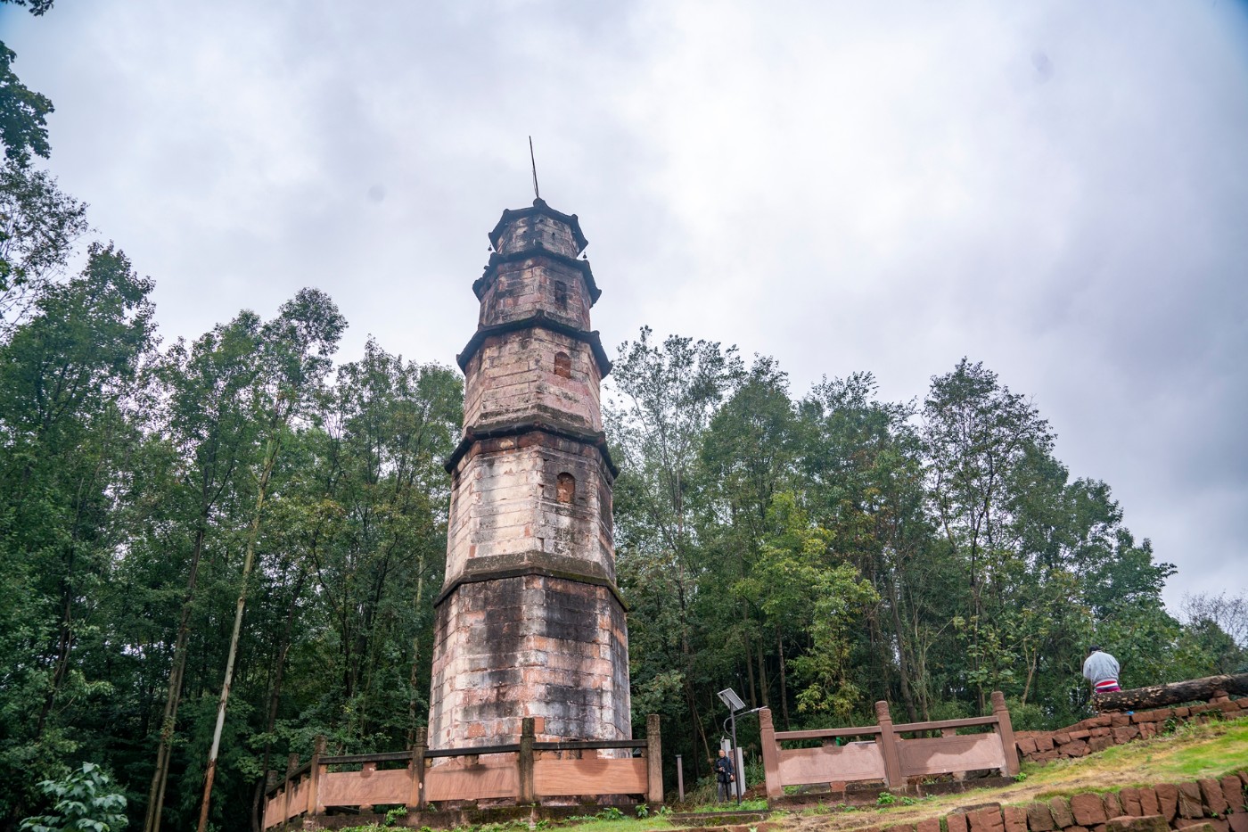 DSC01305 ����.jpg