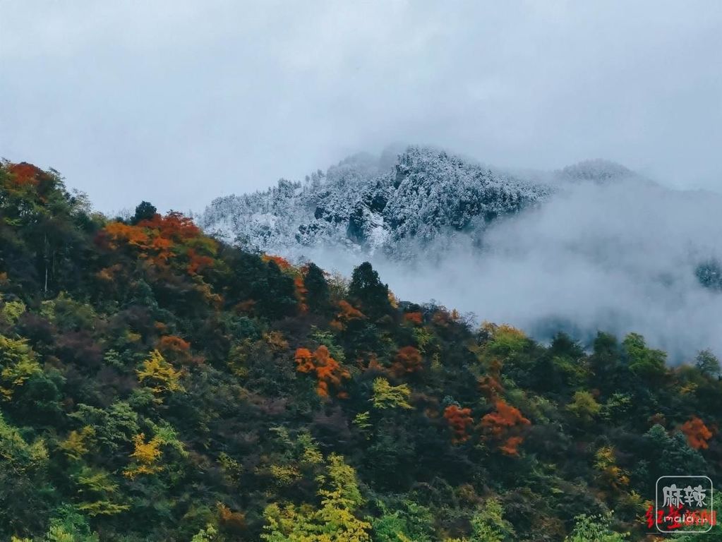 4ec2d5628535e5dd5dc189448d201dffcc1b62b7.jpeg@f_auto