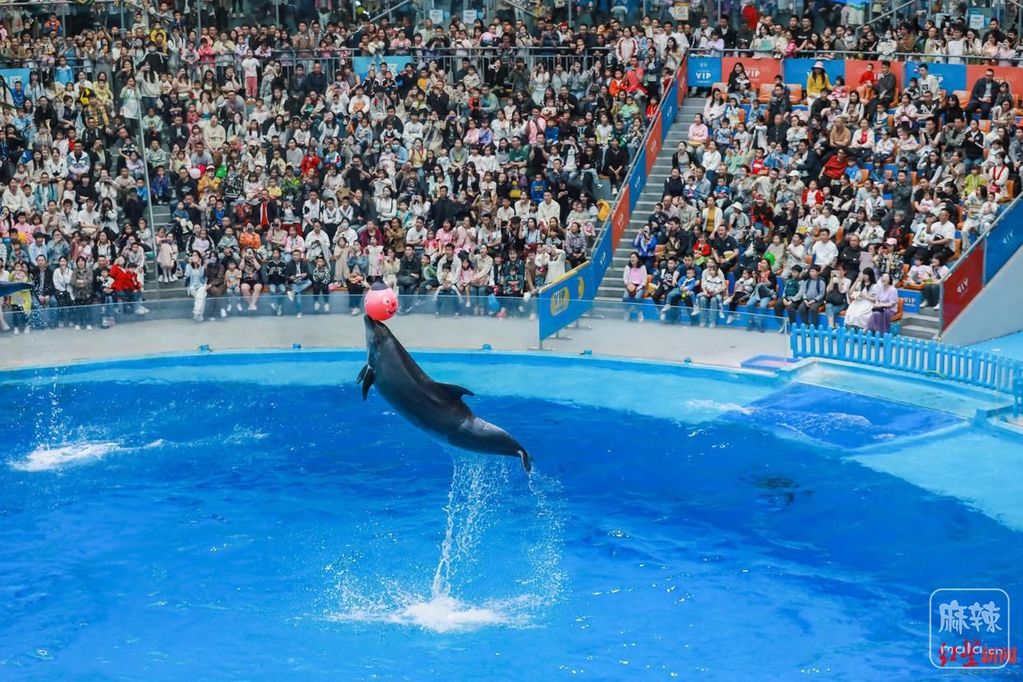 d6ca7bcb0a46f21f0a26b05b0dc2d1700d33aea4.jpeg@f_auto