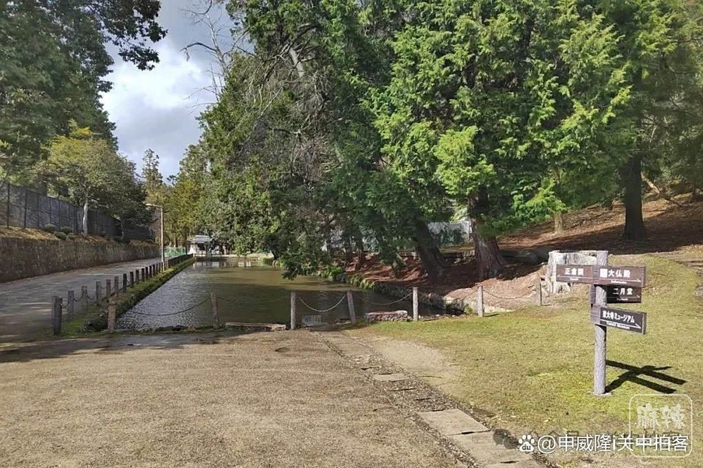 0ff41bd5ad6eddc46a9fe32cdeeae5ed536633aa.jpeg@f_auto