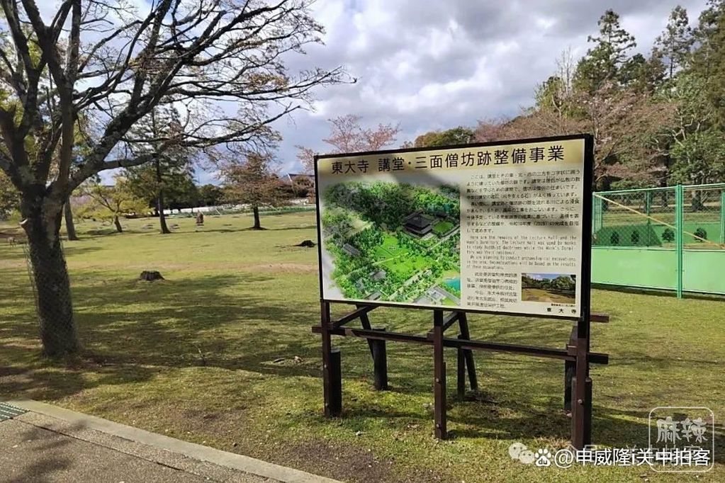 6d81800a19d8bc3ebe50574065baf50ea9d345a5.jpeg@f_auto