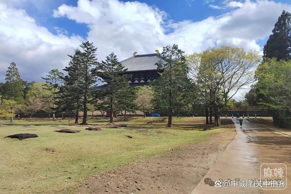 622762d0f703918f6c252048b60c758758eec47a.jpeg@f_auto