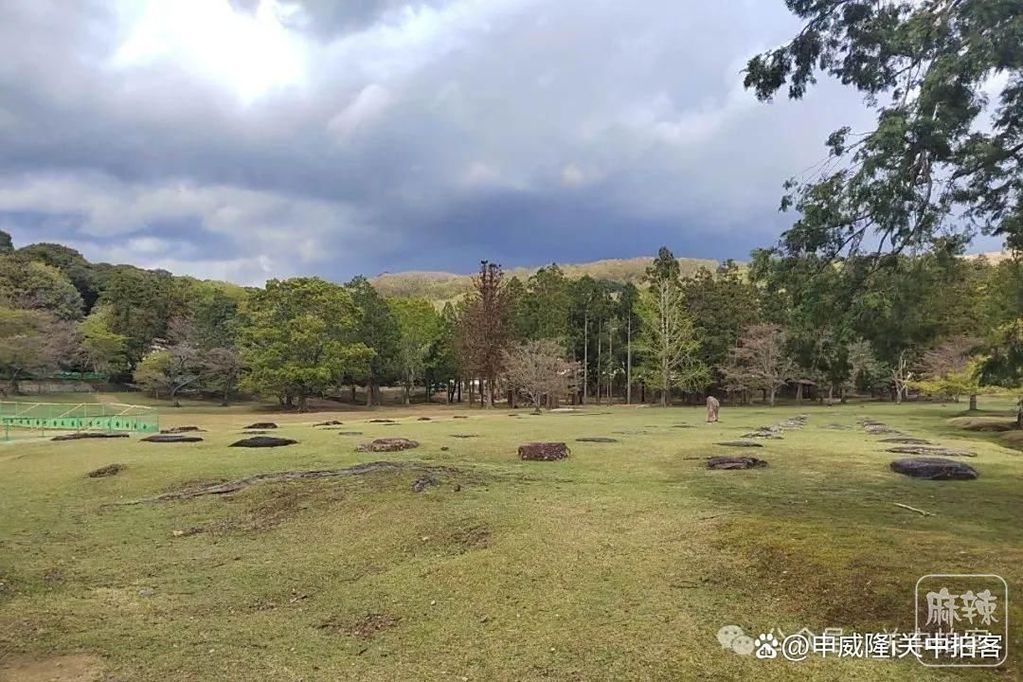 0e2442a7d933c8954c14be9f362220e0830200a9.jpeg@f_auto