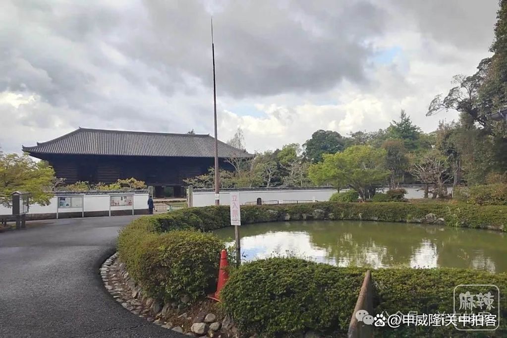 f603918fa0ec08fa05c5843fbedf6e7d54fbda27.jpeg@f_auto