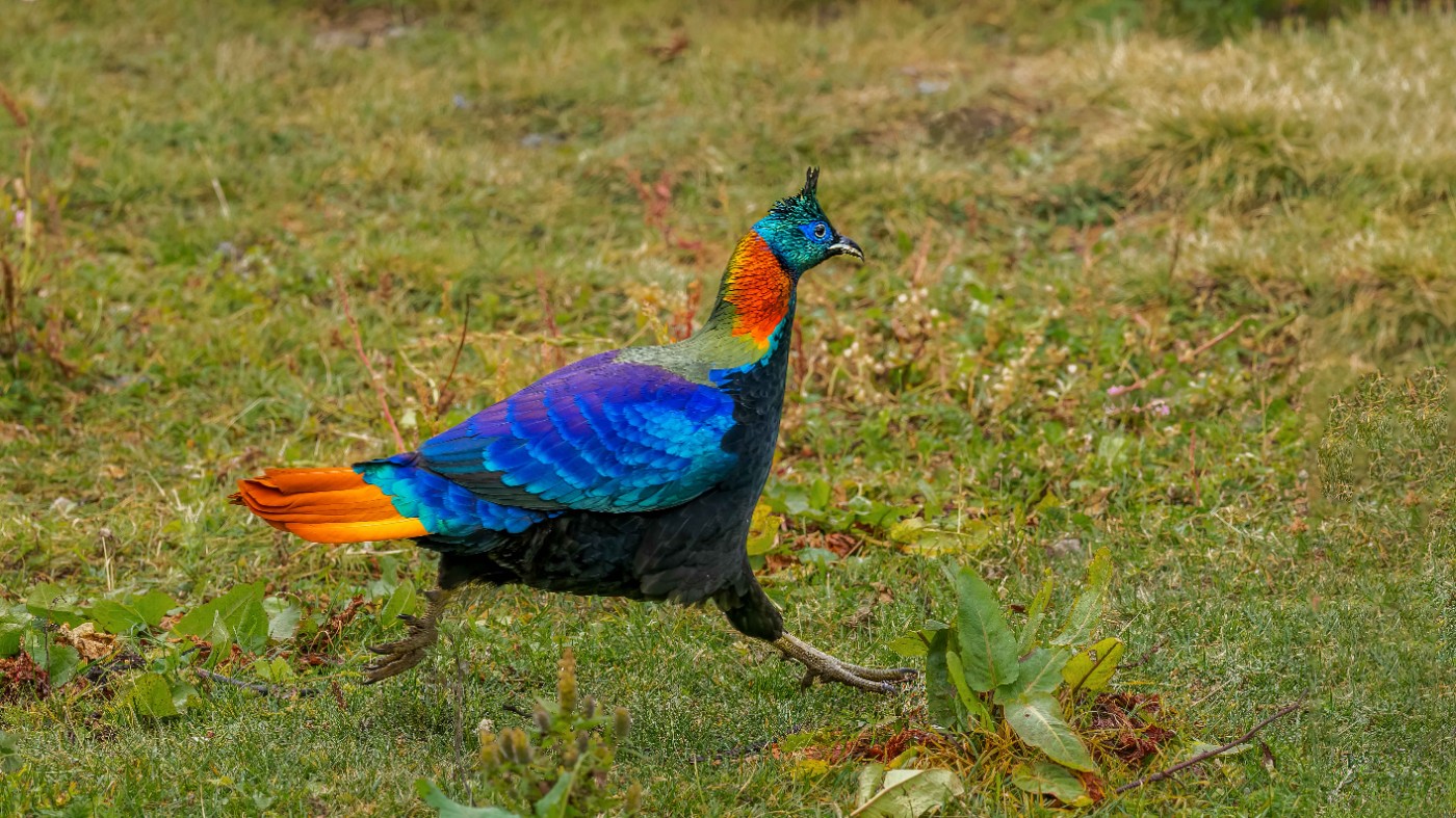 _A031145-ORF_DxO_DeepPRIMEXD .jpg