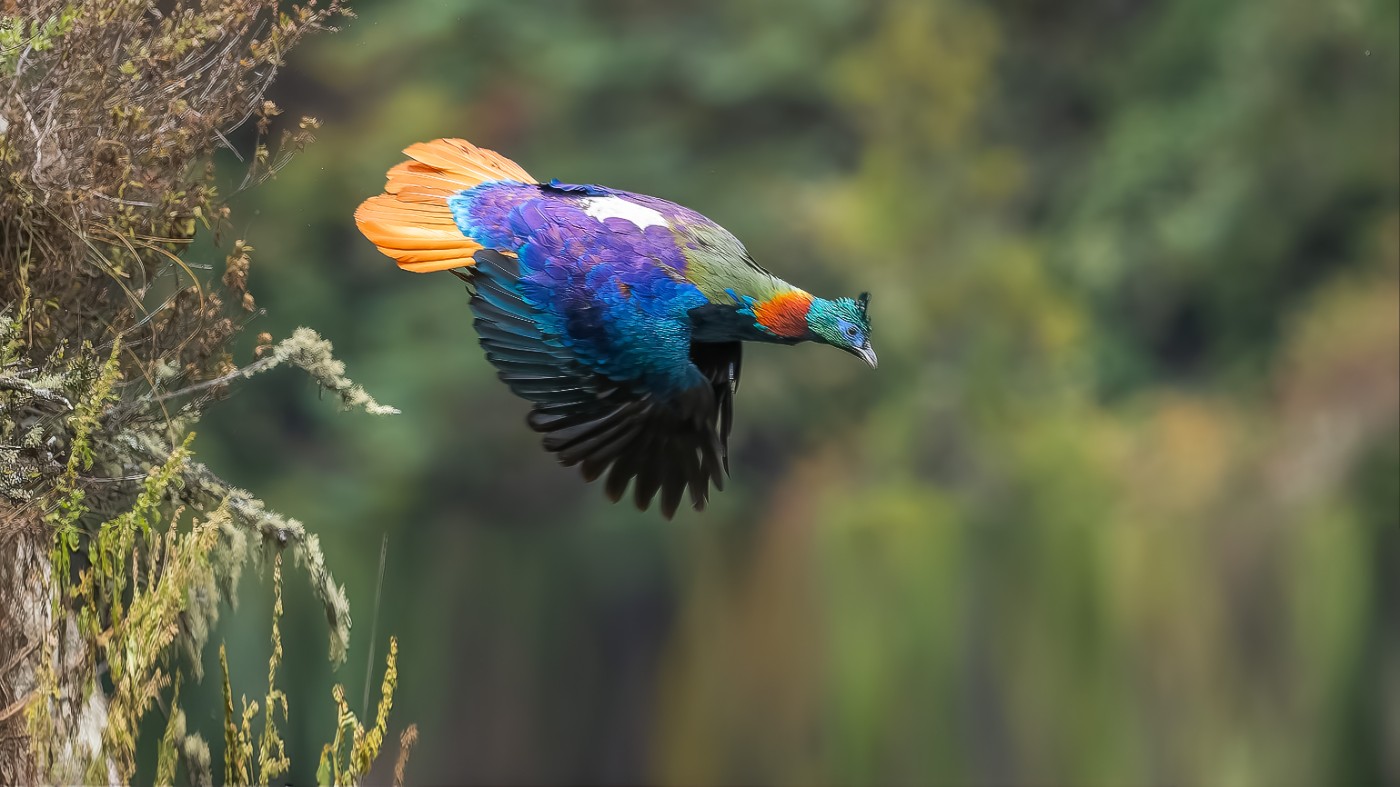 _A025456-ORF_DxO_DeepPRIMEXD .jpg