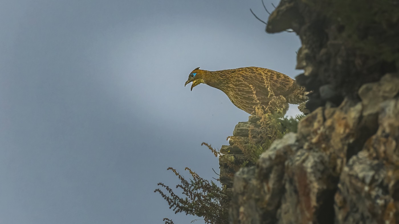 _A030037-ORF_DxO_DeepPRIME .jpg