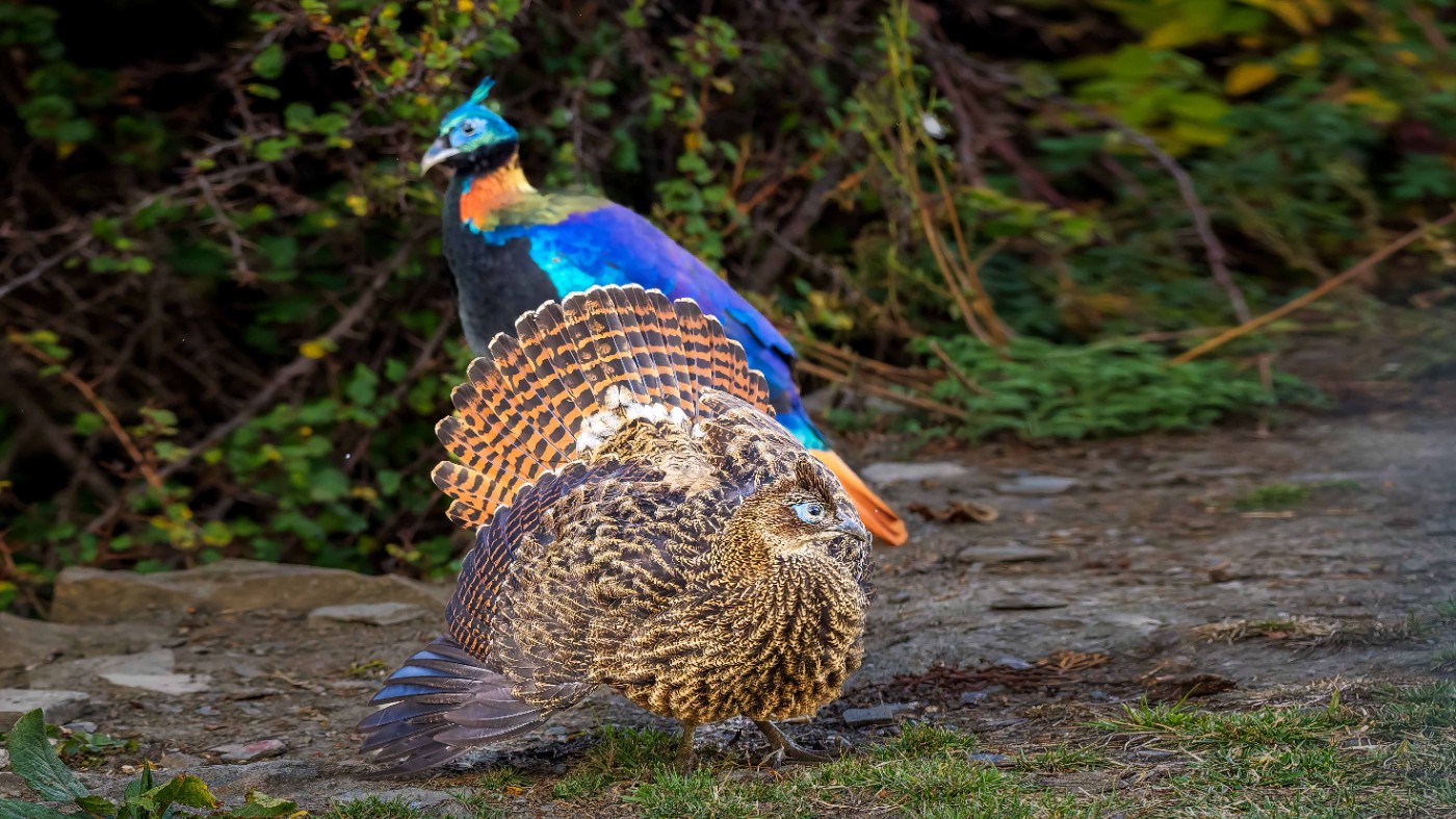 20231002-_A021669 .jpg