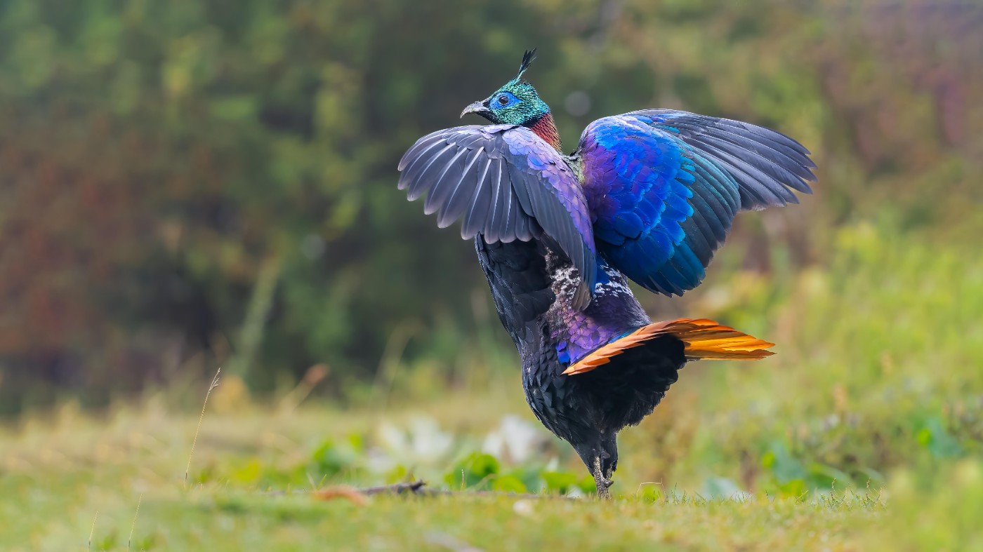 20231002-_A022853 .jpg