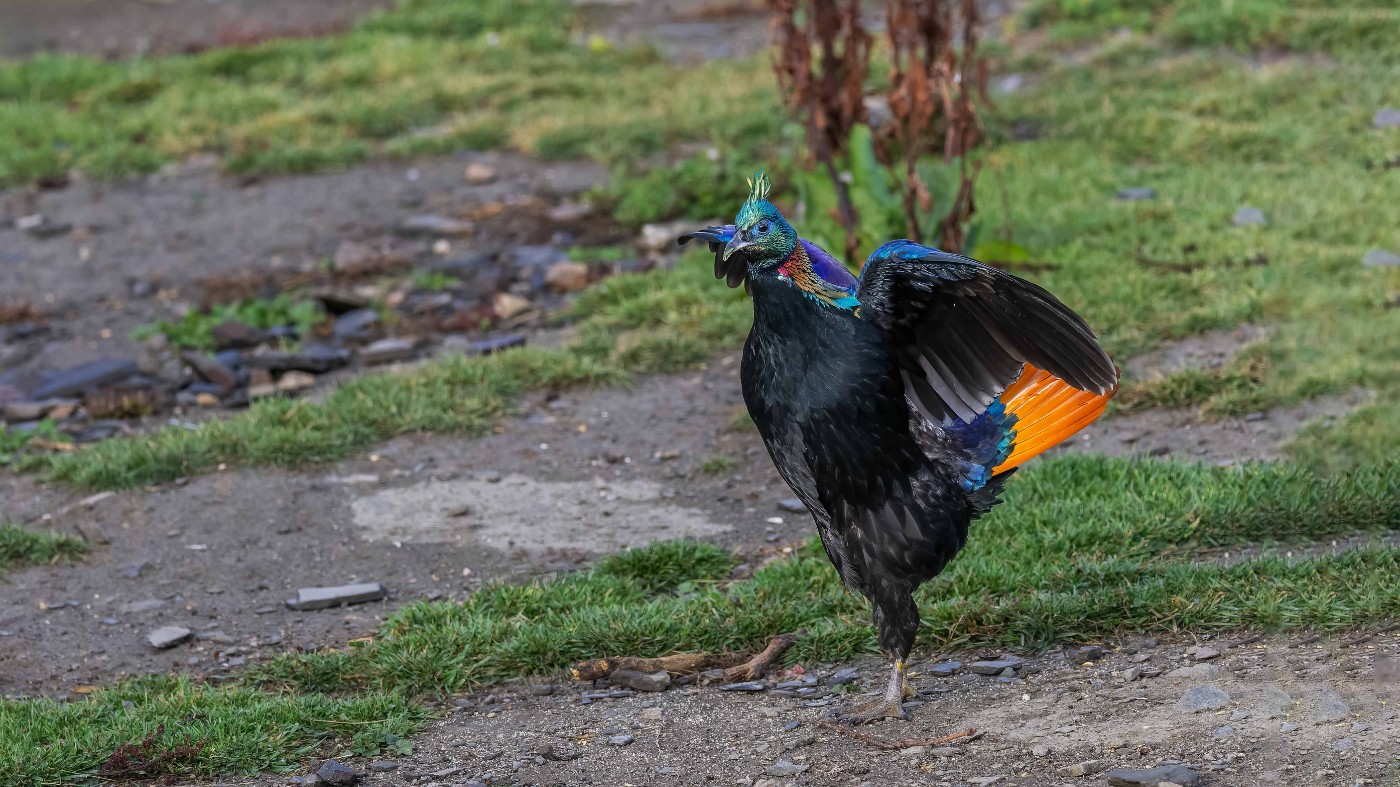 _A030482-ORF_DxO_DeepPRIMEXD .jpg