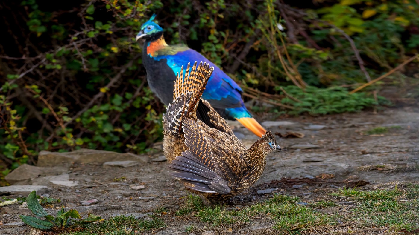 20231002-_A021672 .jpg