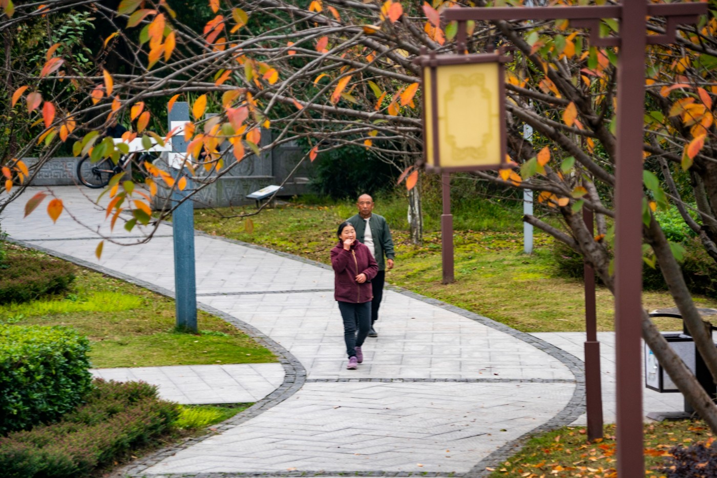 DSC01529 ����.jpg