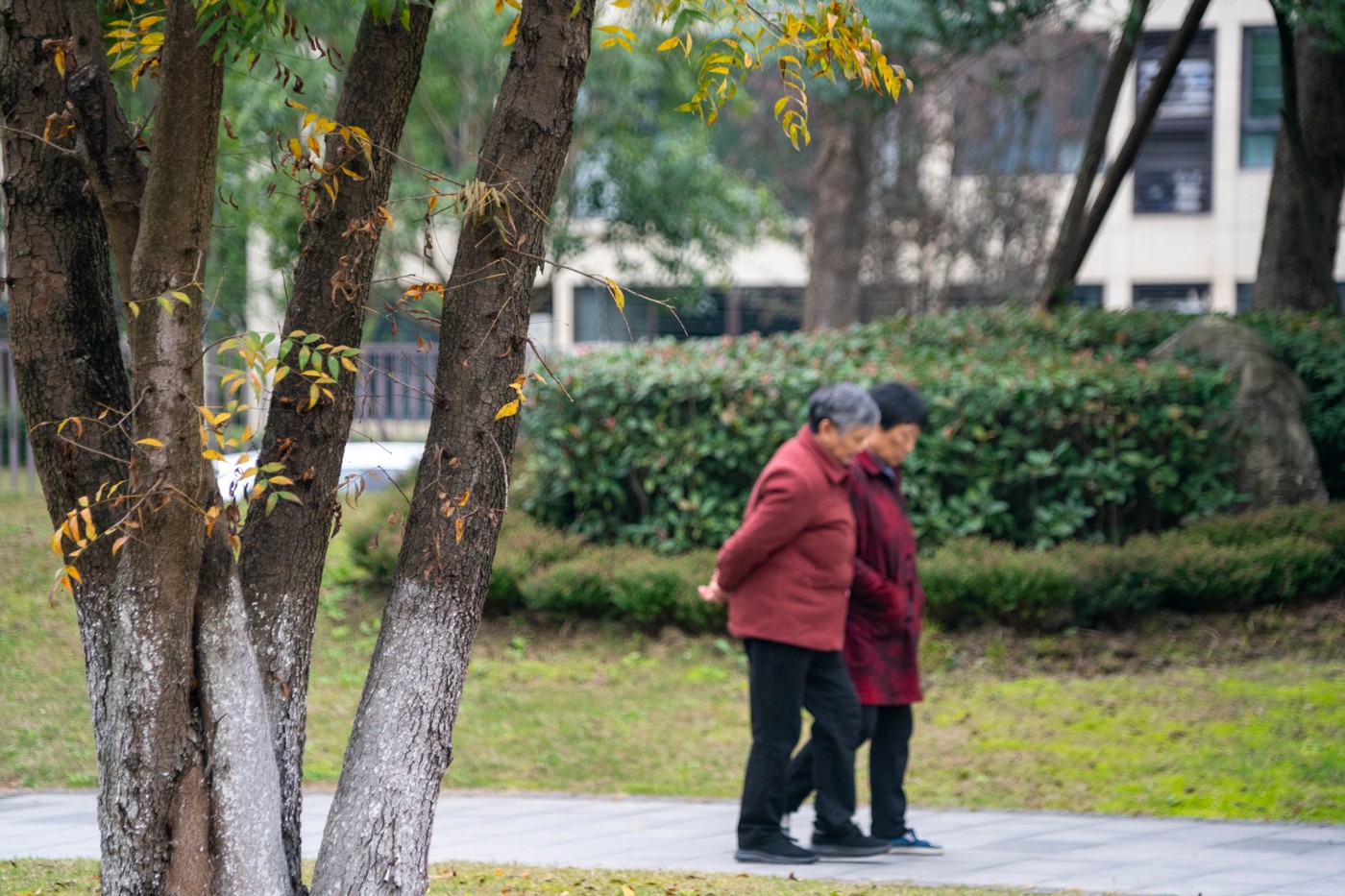 DSC01552 ����.jpg