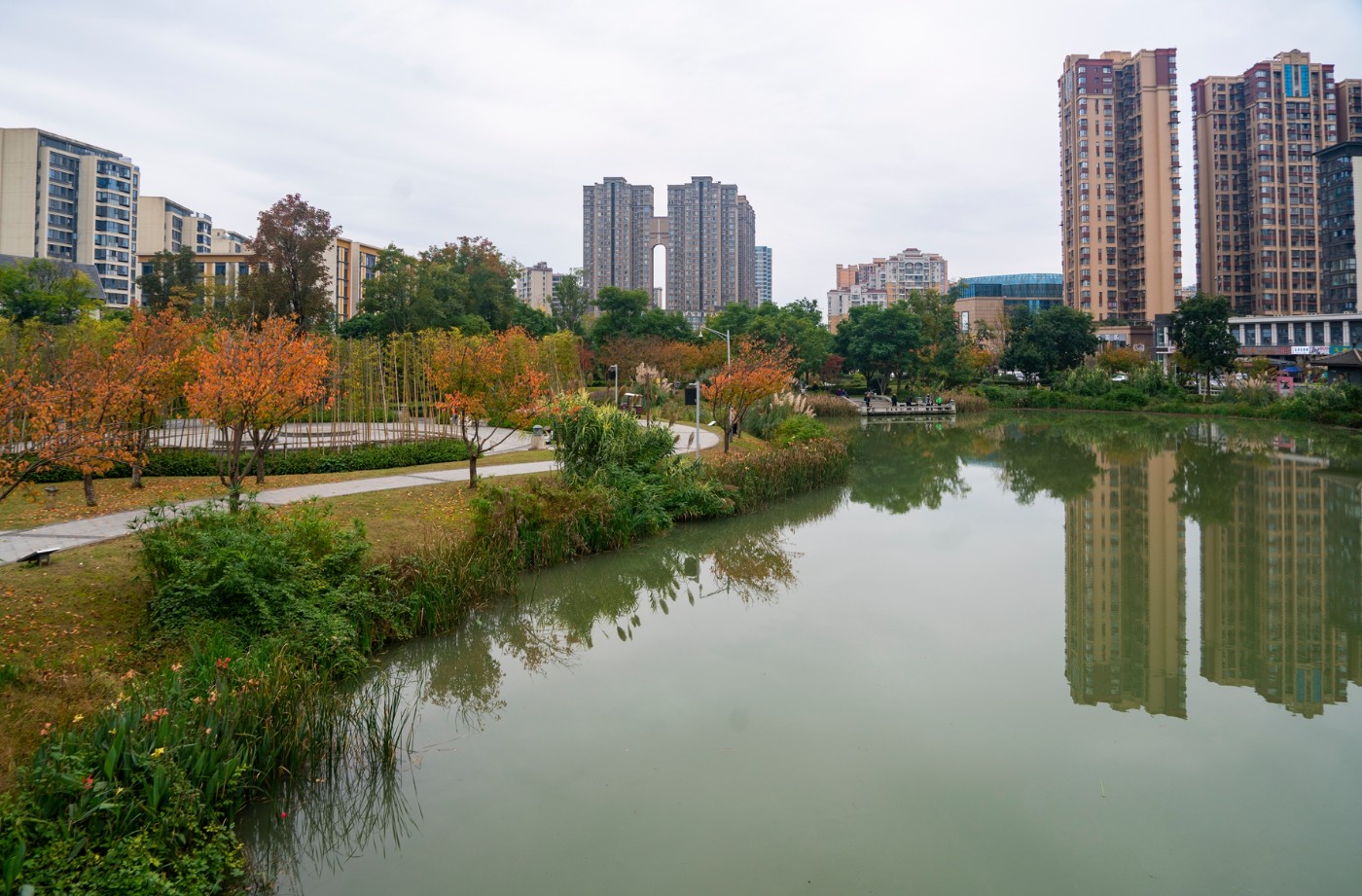 DSC01517 ����.jpg