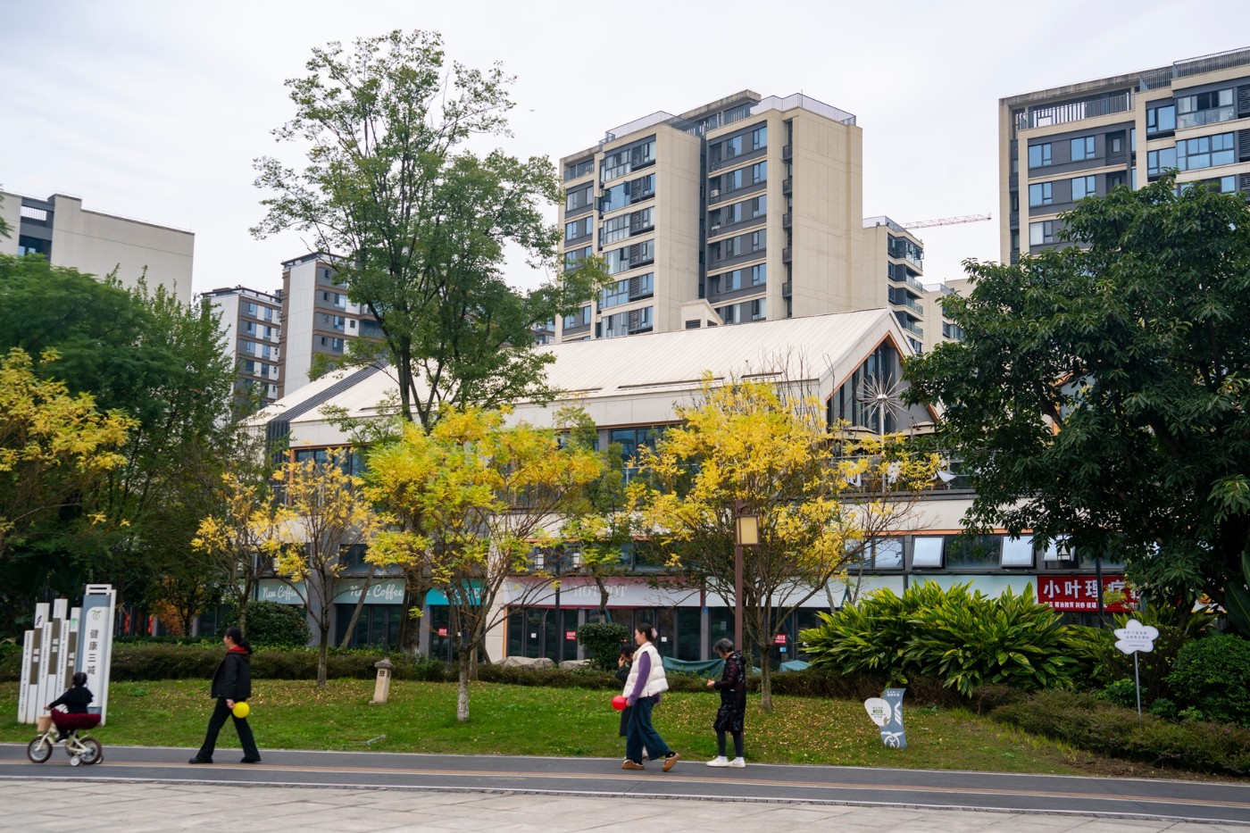 DSC01500 ����.jpg