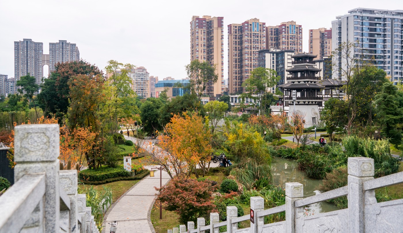 DSC01527 ����.jpg