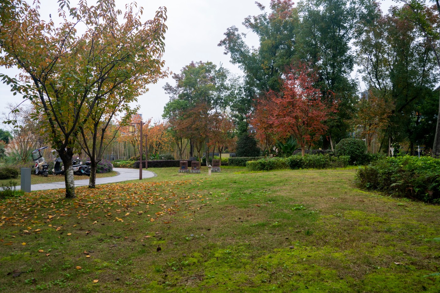 DSC01509 ����.jpg