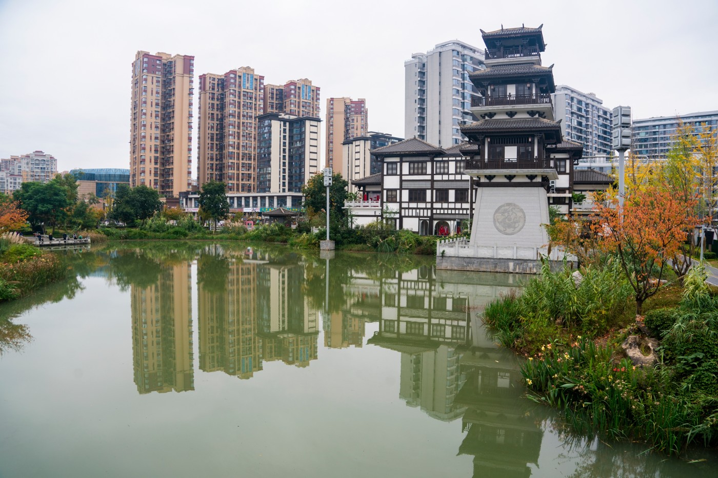 DSC01516 ����.jpg