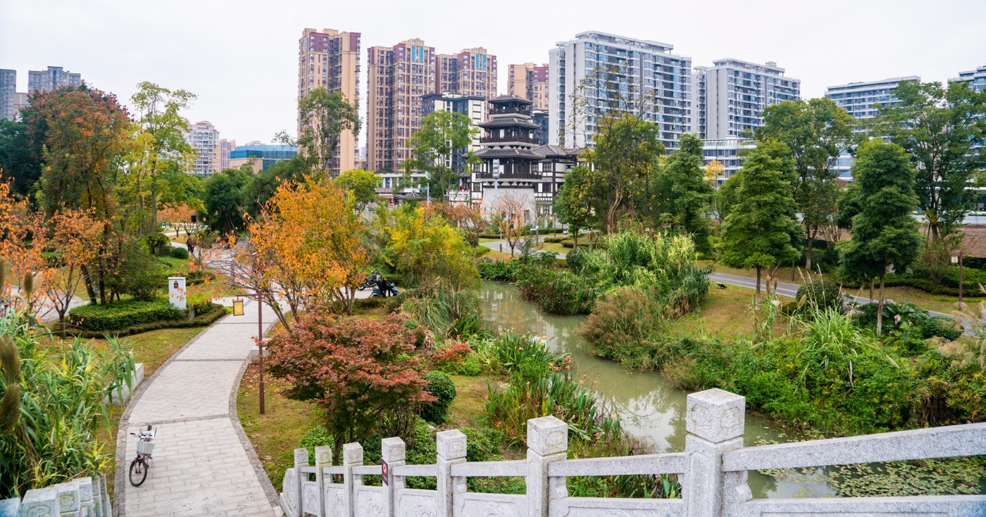 DSC01528 ����.jpg