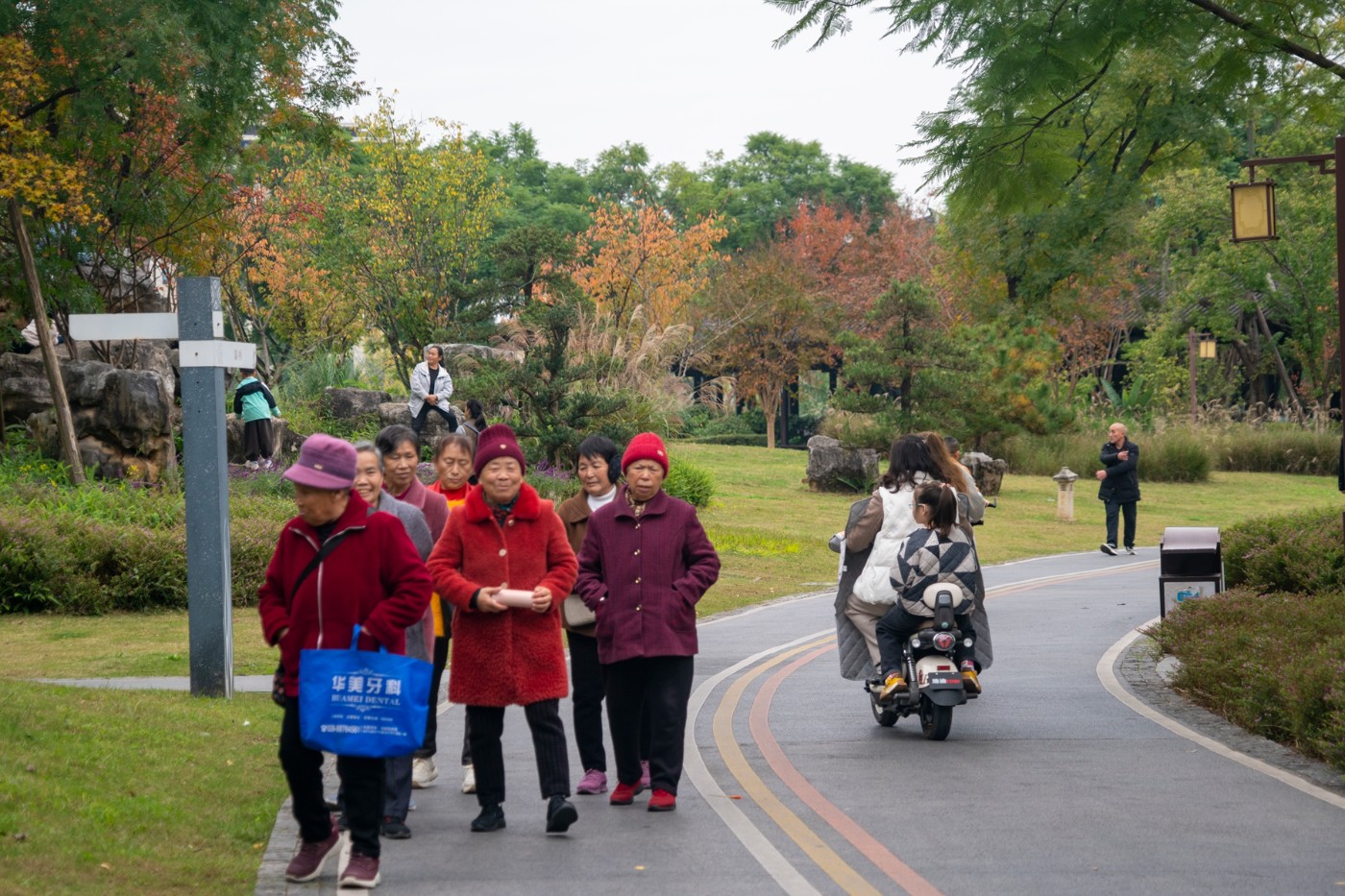 DSC01538 ����.jpg