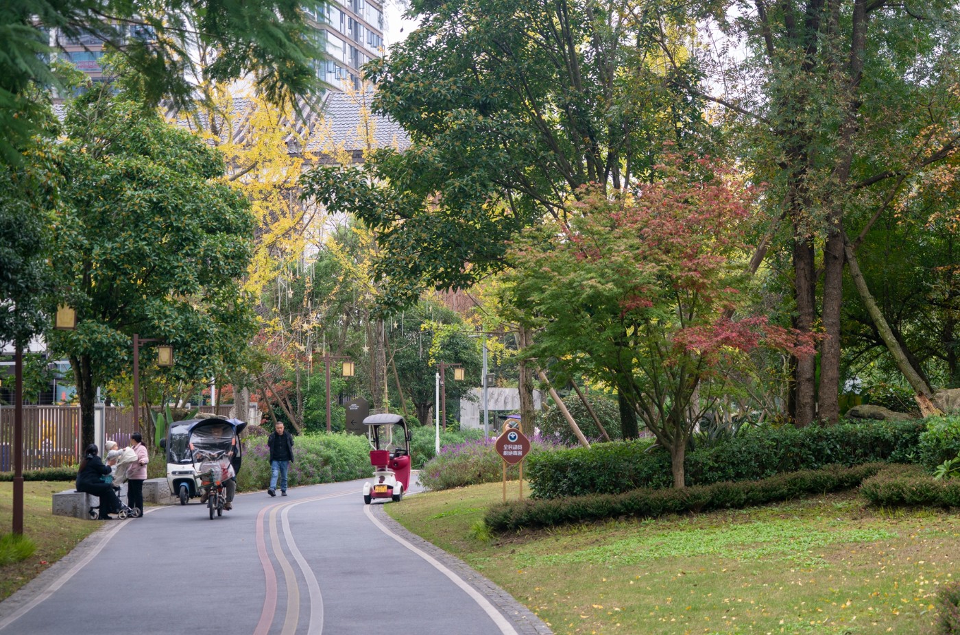 DSC01539 ����.jpg