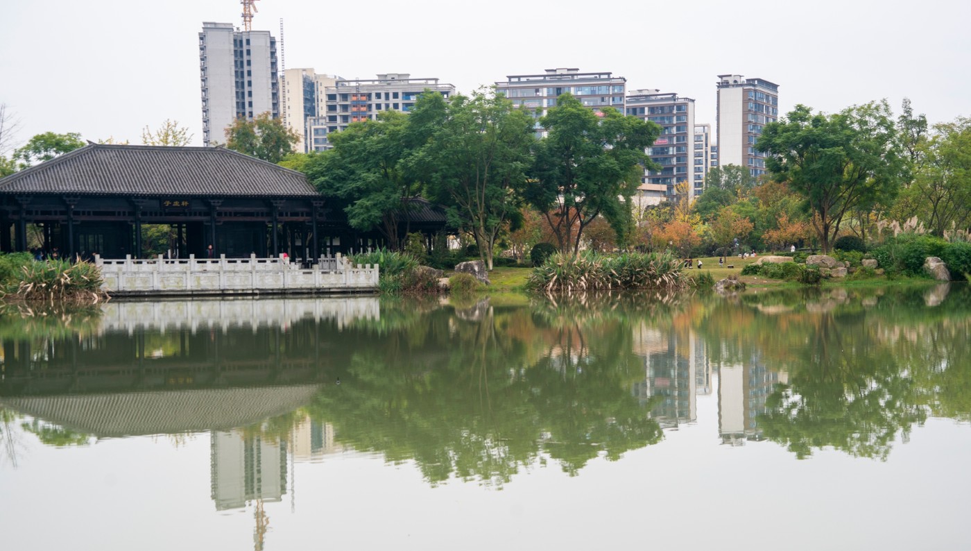 DSC01590 ����.jpg