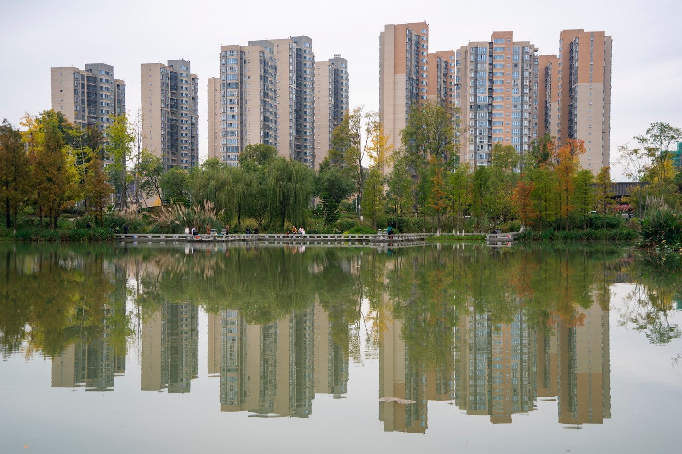 DSC01579 ����.jpg