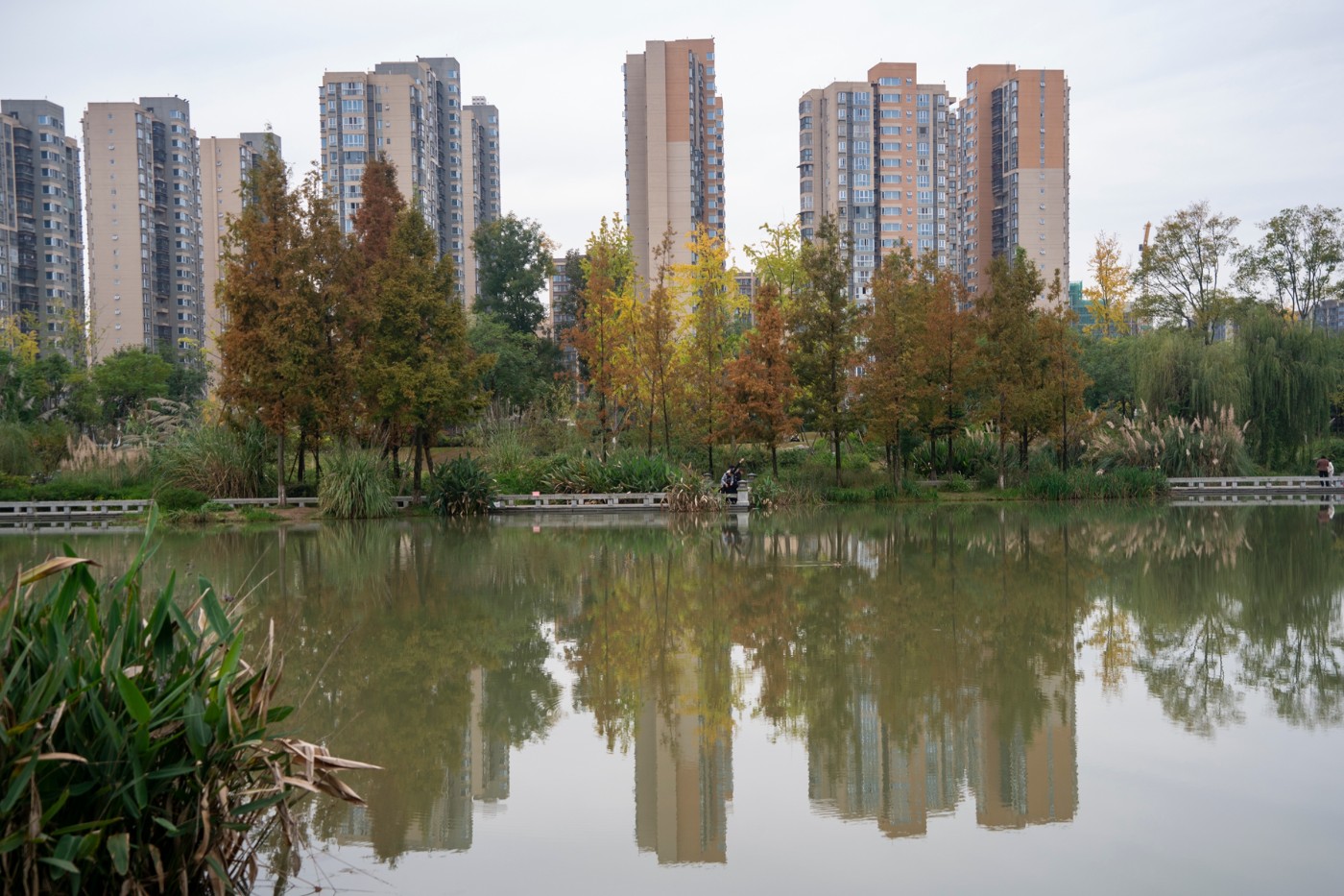 DSC01568 ����.jpg