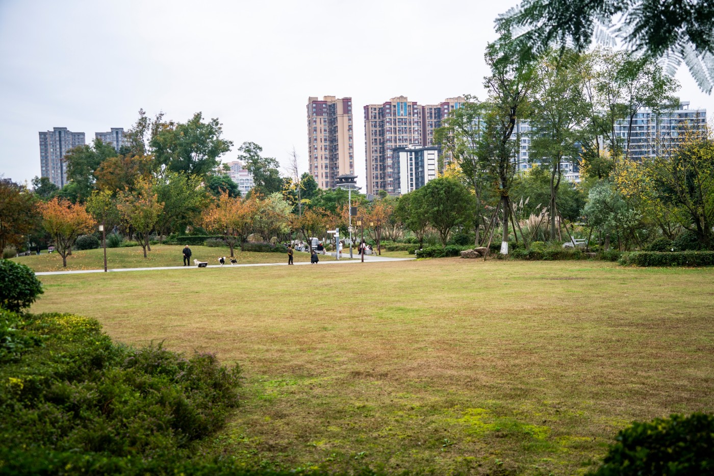 DSC01560 ����.jpg