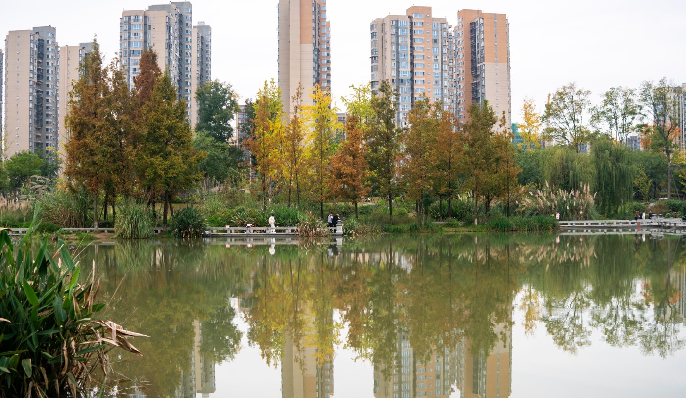 DSC01564 ����.jpg