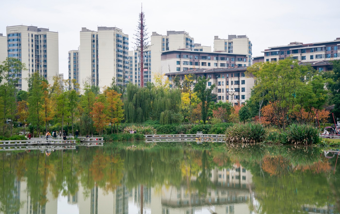 DSC01567 ����.jpg