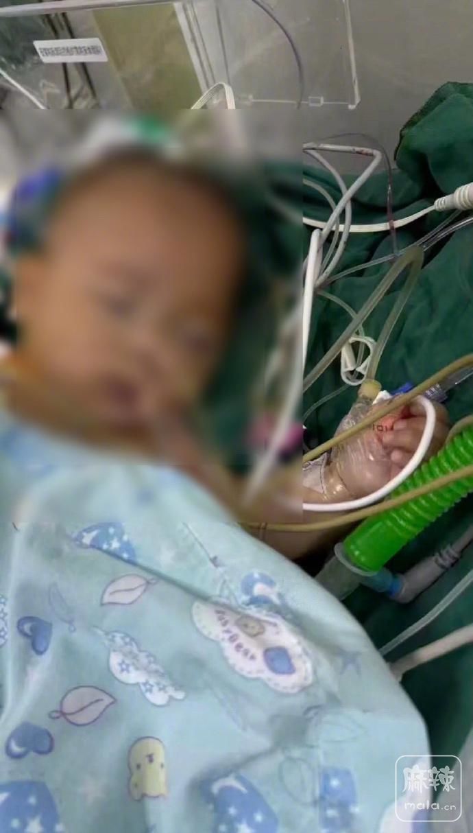 37d12f2eb9389b50546471937fa92ecde5116e81.jpeg@f_auto