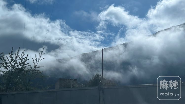 6e61d8e9205f49c0949ff0f2c20644f6 (1).jpeg