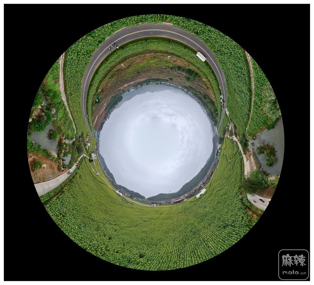 dji_export_20251101_173602_1761989762835_sphere_screenshot.jpg