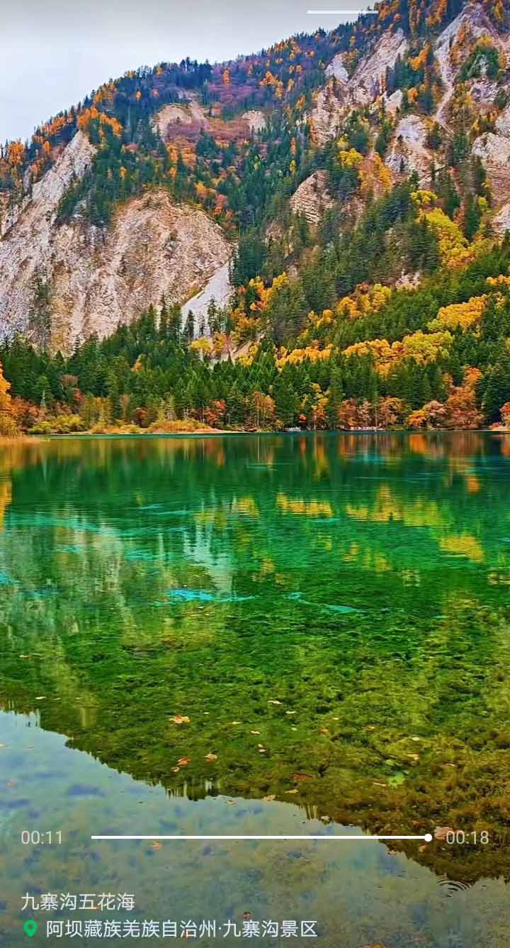 34ac42f673b6b8c509382a97172f887 (1).jpg