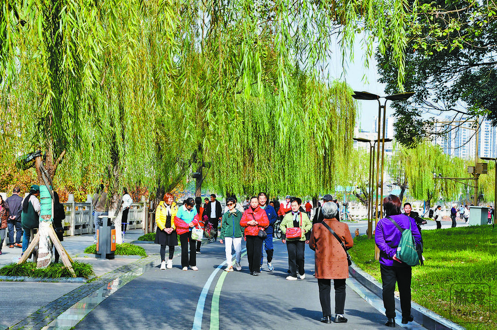 c0a8c49e-36a1-4b29-8f9f-b021100fb7bc.tif.2